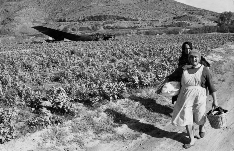 Palomares y las flores del mal